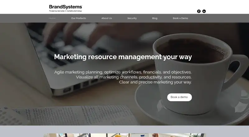 The Brandsystems homepage