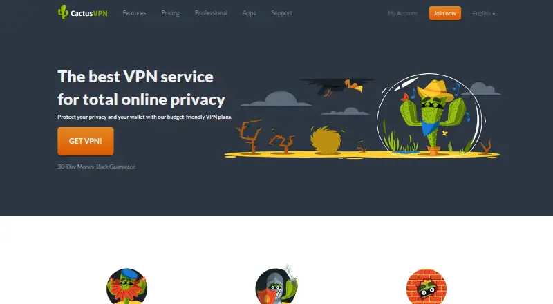 The CactusVPN homepage