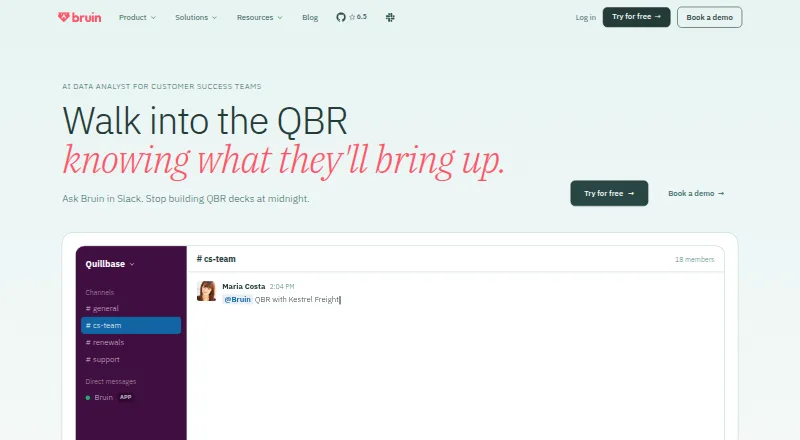 The Bruin for Customer Success homepage