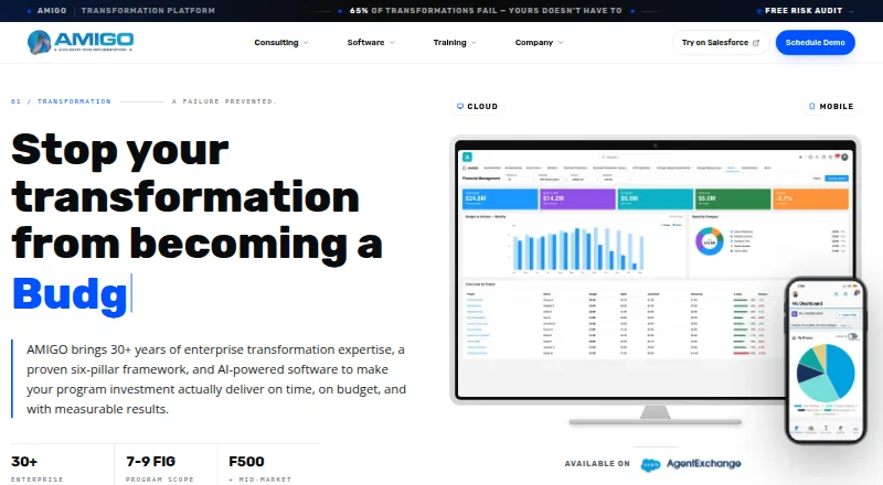 The AMIGO homepage